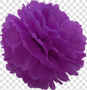 Tissue Pom Pom Png  Transparent Png