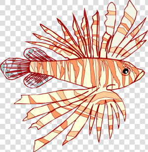 Lionfish   Png Download   Illustration  Transparent Png