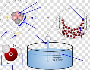 Properties Of Water Diagram  HD Png Download