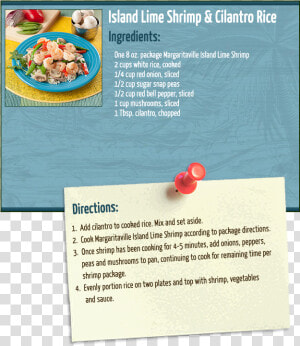 Lime Shrimp  amp  Cilantro Rice   Dish  HD Png Download