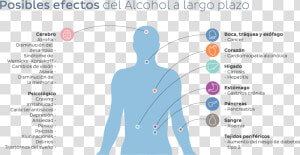 El Consumo De Alcohol Y Drogas Aumenta En Verano   Cocaïne Risico  39 s  HD Png Download