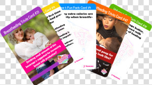 Breastfeeding Trivia Card Game   Flyer  HD Png Download