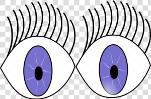 Eyes Wide Open Free Photo  HD Png Download