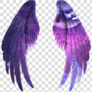  wings  angel  angelwings  space  galaxy  stars  star   Angel Black Wings  HD Png Download