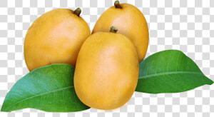 Cajá Fruta Png  Transparent Png