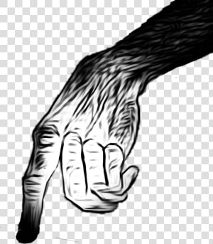  zombie  ape  hand  scary  creepy  point  finger  cool   Creepy Hand Point Png  Transparent Png