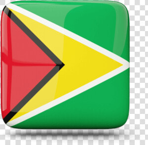 Guyana Flag Png  Transparent Png