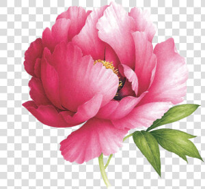 Peony Scented By Vincent Jeannerot From Tattly   Peony Tattoo  HD Png Download