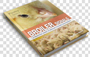 About Broiler Signals   Chicken Meat  HD Png Download