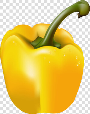 Transparent Yellow Pepper Png Clipart Picture   Yellow Pepper Transparent Background  Png Download