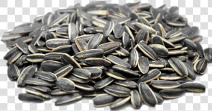 Many Calories In Sunflower Seeds  HD Png Download