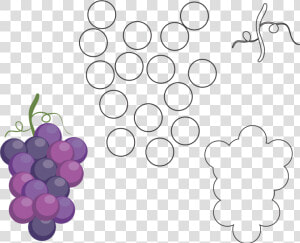 Clip Art Desenho De Uvas   Molde De Uva Em Eva  HD Png Download