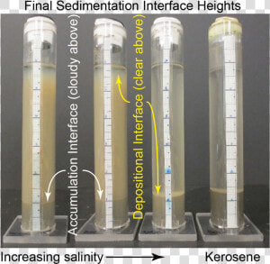 Photograph Of Sedimentation Test Definitions   Sedimentation Test  HD Png Download