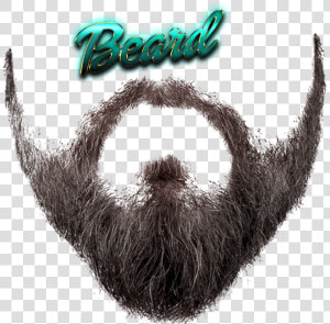 Beard Free Png Image   Transparent Background Beard Png  Png Download