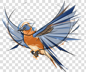 Bluebird Drawing Blue Bird Bluebird   Cartoon  HD Png Download