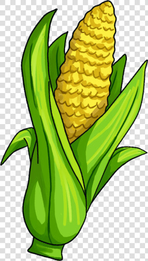 Kernel Clipart Canned Corn   Transparent Background Corn Clipart  HD Png Download