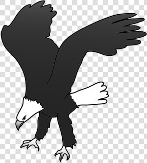 Bald Eagle Drawing Landing For Prey   New Eagle Landing Clipart  HD Png Download