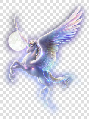 Transparent Flying Unicorn Png   Flying Pegasus Png  Png Download