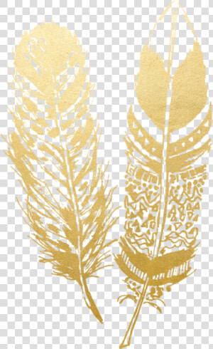 Transparent Feather Png Transparent   Transparent Gold Feather Png  Png Download