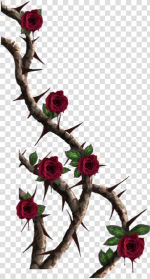 Thorn Vine Png   Transparent Cartoons   Roses With Thorns Png  Png Download