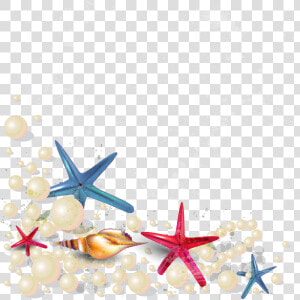 Starfish Clipart Sandy   Transparent Background Sea Shells Clip Art  HD Png Download