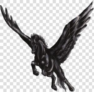 Black Pegasus   Black And White Winged Horse  HD Png Download