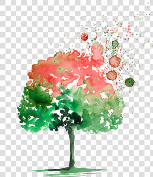 Svg Royalty Free Buoy Drawing Watercolor   Trees Drawing Watercolor Png  Transparent Png