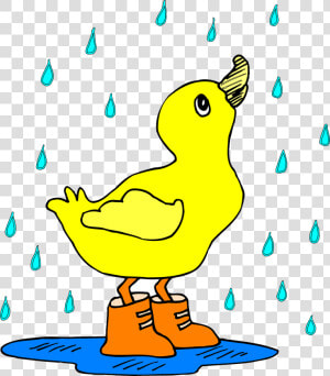 Duck In The Rain Svg Clip Arts   Duck In The Rain Cartoon  HD Png Download