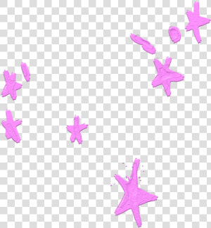 Stars Purple Overlay Sticker   Marine Invertebrates  HD Png Download