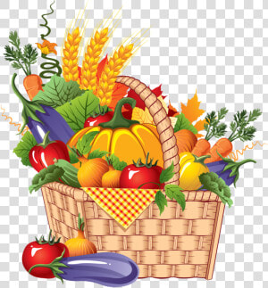 Cartoon Vector Vegetable   Should We Eat Vegetables  HD Png Download