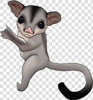 Sugar Glider Cartoon Transparent  HD Png Download