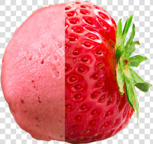 Succelent Strawberry   Gelato Strawberry Png  Transparent Png