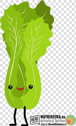 Transparent Vegetales Png  Png Download