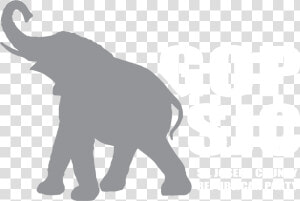 Indian Elephant   Png Download   Indian Elephant  Transparent Png