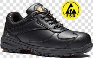 Safety Shoes Esd Png  Transparent Png