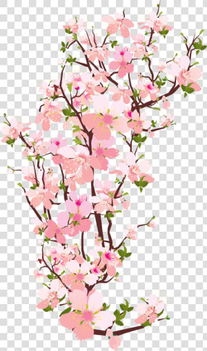 Pin By Fida Kamal On Desenhos 3   Cherry Blossom Branch Transparent  HD Png Download