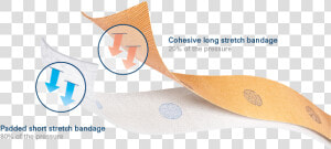 Bandages Png  Transparent Png