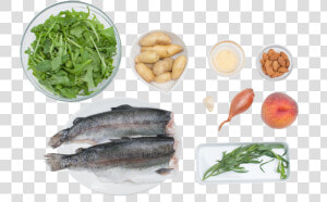 Seared Trout With Peach And Arugula Salad   Pacific Sturgeon  HD Png Download