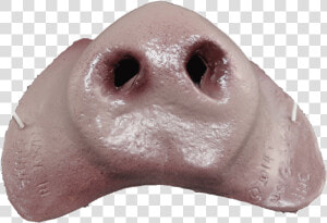 Transparent Pig Silhouette Png   Pig Nose Png  Png Download