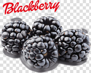 Blackberry Png Image   Transparent Blackberry Png  Png Download