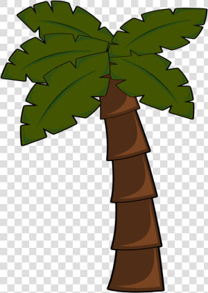 Clip Art Clip Art Palm Tree   Jungle Tree Clipart  HD Png Download