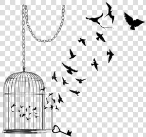 Caged Bird Png Pic   Bird Flying Out Of Cage Drawing  Transparent Png