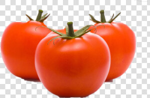 Tomato Png Free Commercial Use Images   Png Images Domates Png  Transparent Png