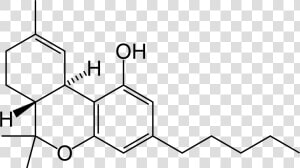 File   Thc skeletal   Delta 8 Tetrahydrocannabinol  HD Png Download