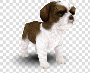 Download Zip Archive   Shih Tzu Nintendogs  HD Png Download