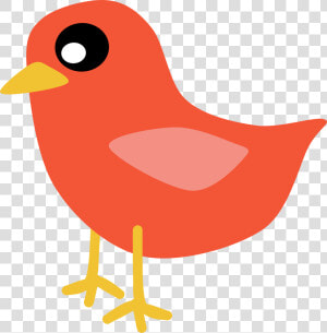 Robin Clipart Red Robin   Birds  HD Png Download