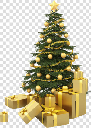 Chirstmas Tree With Presents Png Image   New Year Tree Png  Transparent Png