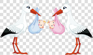 Cigueña Para Baby Shower Png   Twins Boy And Girl Clipart  Transparent Png