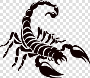 Logo Scorpions Scorpion Drawing Download Hq Png Clipart   Scorpion Logo  Transparent Png