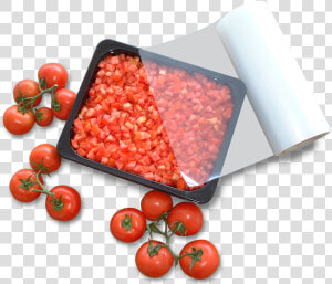 Tomatoes And Film Go Green   Plum Tomato  HD Png Download